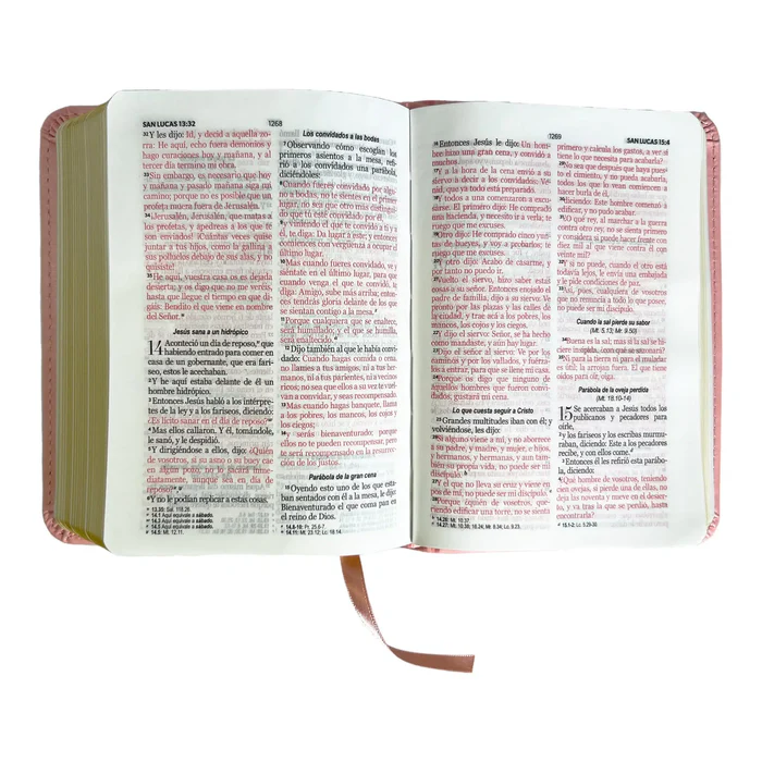 biblia-reina-valera-1960-de-bolsillo-imitacion-piel-rosa-claro-coleccion-clasica-biblias-155