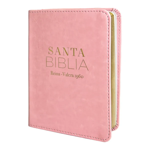 biblia-reina-valera-1960-de-bolsillo-imitacion-piel-rosa-claro-coleccion-clasica-biblias-543_grande