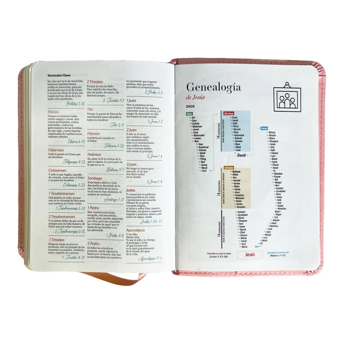 biblia-reina-valera-1960-de-bolsillo-imitacion-piel-rosa-claro-coleccion-clasica-biblias-585