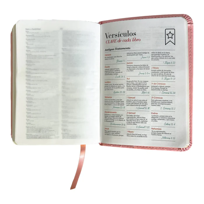 biblia-reina-valera-1960-de-bolsillo-imitacion-piel-rosa-claro-coleccion-clasica-biblias-670