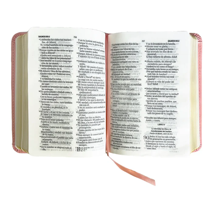 biblia-reina-valera-1960-de-bolsillo-imitacion-piel-rosa-claro-coleccion-clasica-biblias-830