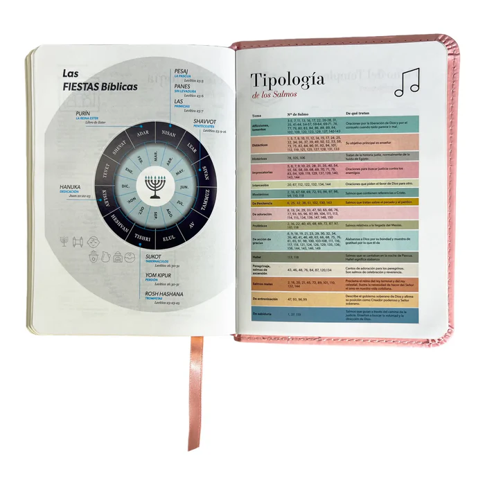 biblia-reina-valera-1960-de-bolsillo-imitacion-piel-rosa-claro-coleccion-clasica-biblias-966