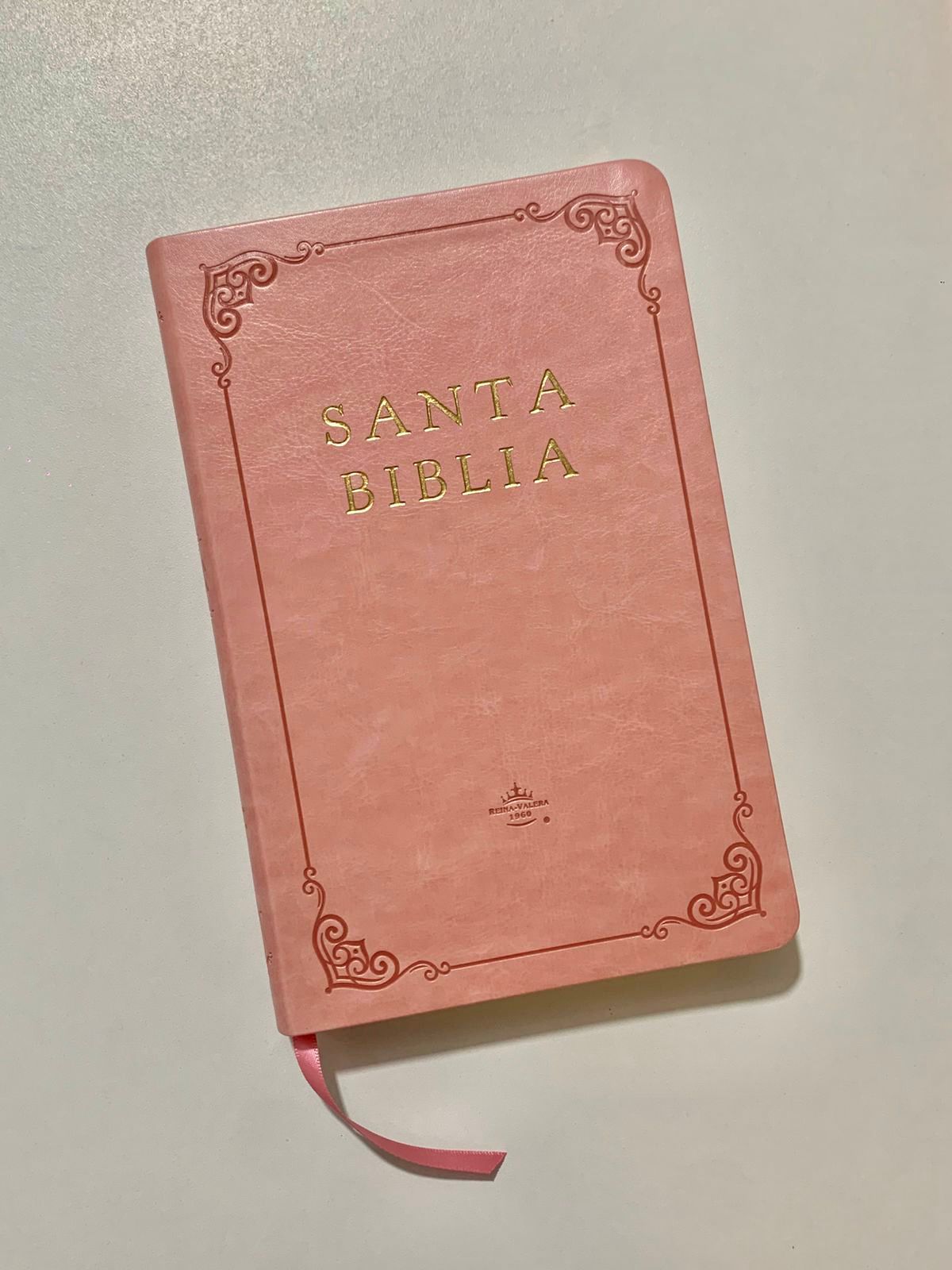 WhatsApp Image 2025-12-27 at 4.14.22 PM